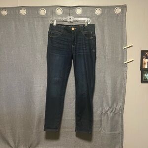 Democracy Dark Indigo Women's Skinny Jeans